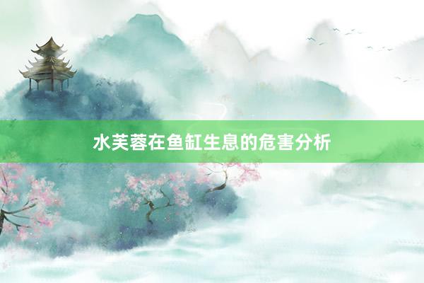 水芙蓉在鱼缸生息的危害分析